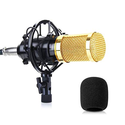 Mua Mic Thu Âm
